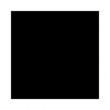 Achtergronddoek zwart (solid black) 3 x 6 m